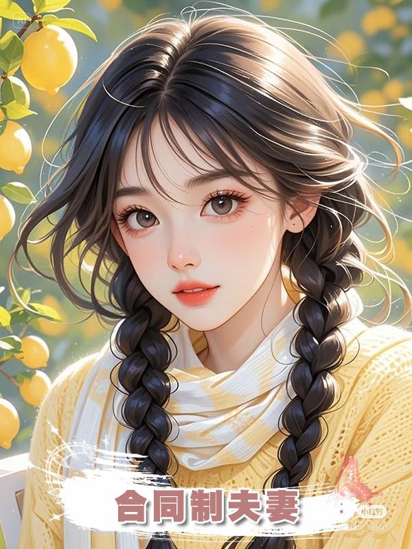 合同制夫妻在線閱讀